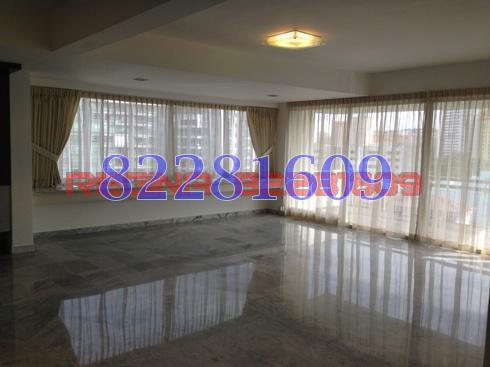 Jervois View (D10), Apartment #82081432
